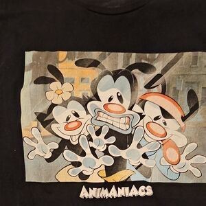 Animaniacs Graphic Cropped T-Shirt
